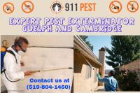Pest Control Kitchener image 7
